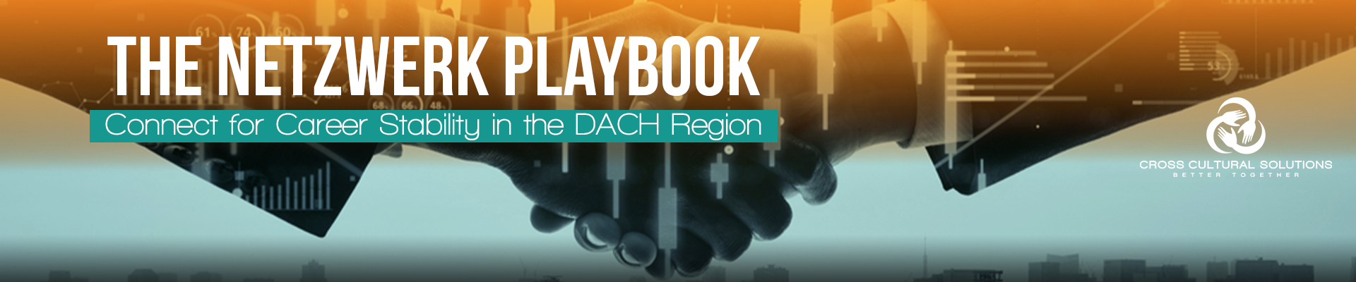 The Netzwerk Playbook : Connect for Career Stability in the DACH Region